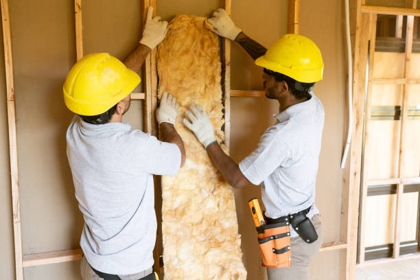 Insulation Repair Services in Horace, ND
