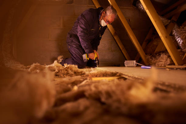Best Insulation for Commercial Buildings  in Horace, ND